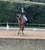 Horse ad