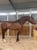 Horse ad