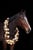Horse ad