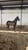 Horse ad