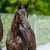 Horse ad