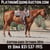 Horse ad