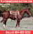 Anuncio de caballos