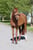 Paardadvertentie