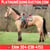 Annuncio cavallo
