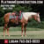 Horse ad