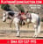 Horse ad