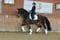 Horse ad