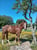 Anuncio de caballos