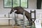 Horse ad
