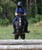 Horse ad