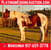 Horse ad