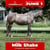 Paardadvertentie
