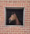 Horse ad