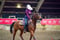 Annuncio cavallo