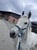Annuncio cavallo