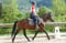 Annuncio cavallo