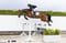 Annonce cheval