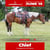 Annuncio cavallo