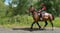 Annuncio cavallo
