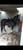 Horse ad