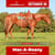 Paardadvertentie