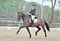 Annuncio cavallo