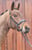 Horse ad