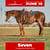 Paardadvertentie