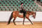 Annonce cheval