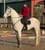 Annuncio cavallo
