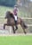 Horse ad
