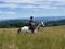 Annuncio cavallo