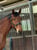 Horse ad
