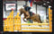 Anuncio de caballos