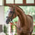 Annuncio cavallo