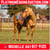 Horse ad