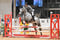 Annuncio cavallo
