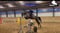 Anuncio de caballos