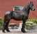 Anuncio de caballos