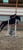 Horse ad