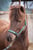 Horse ad