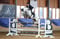 Annuncio cavallo