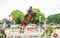 Horse ad