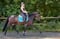Horse ad