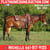 Horse ad