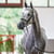 Annuncio cavallo