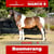 Horse ad