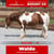 Paardadvertentie