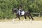 Annonce cheval